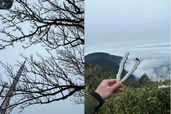 Khoảnh khắc hiếm thấy: “Hoa băng” phủ trắng Fansipan và đỉnh Phia Oắc khi nhiệt độ chạm -3 độ C - Ảnh 5.