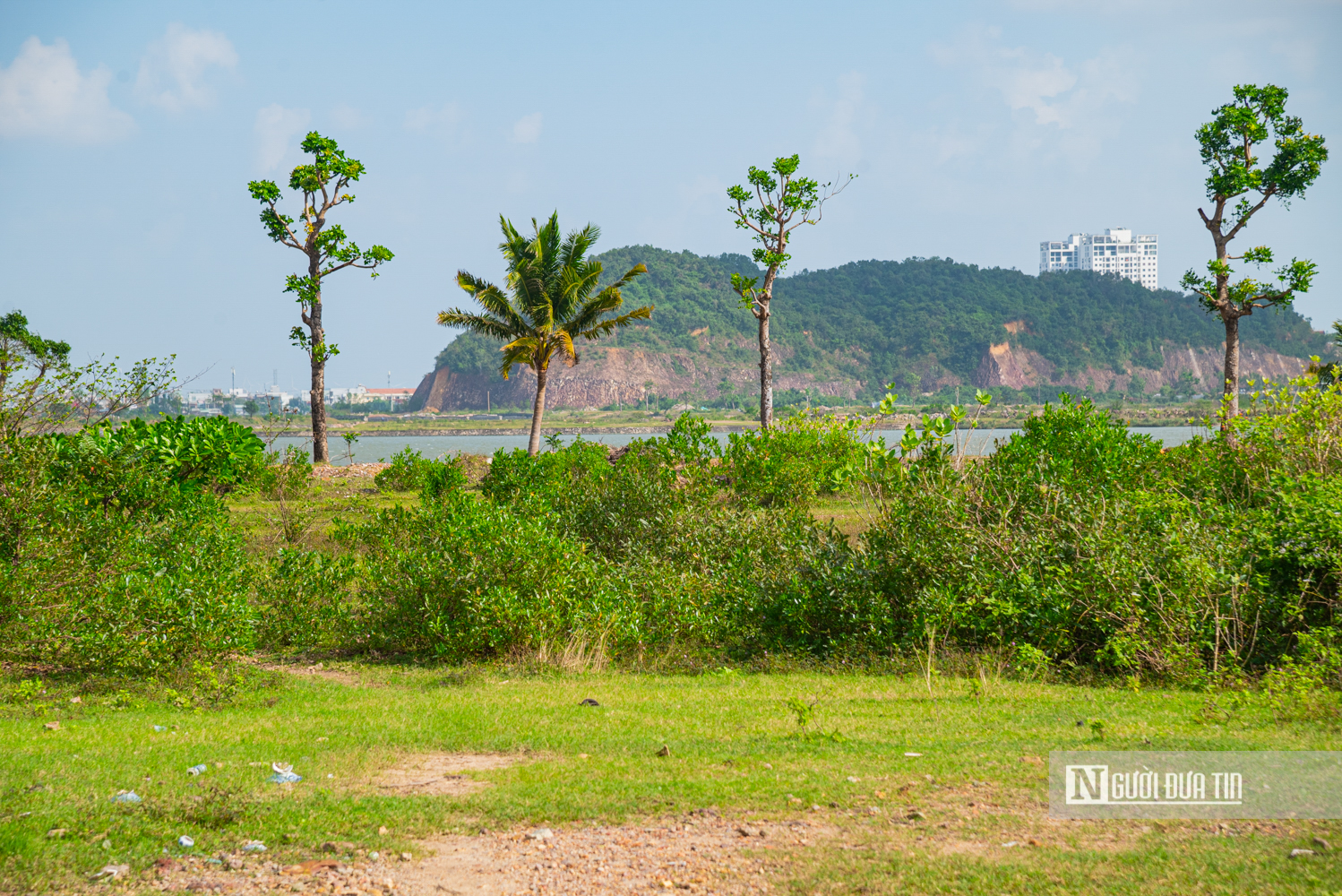 Cận cảnh khu đất lớn nhất còn lại ở Quy Nhơn quy hoạch khu đô thị 21.900 tỷ đồng- Ảnh 13. Cận cảnh khu đất lớn nhất còn lại ở Quy Nhơn quy hoạch khu đô thị 21.900 tỷ đồng- Ảnh 13.