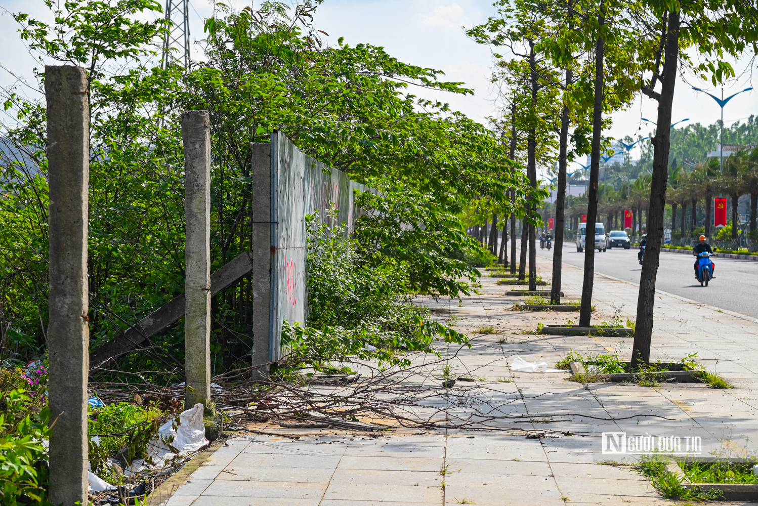 Cận cảnh khu đất lớn nhất còn lại ở Quy Nhơn quy hoạch khu đô thị 21.900 tỷ đồng- Ảnh 14. Cận cảnh khu đất lớn nhất còn lại ở Quy Nhơn quy hoạch khu đô thị 21.900 tỷ đồng- Ảnh 14.