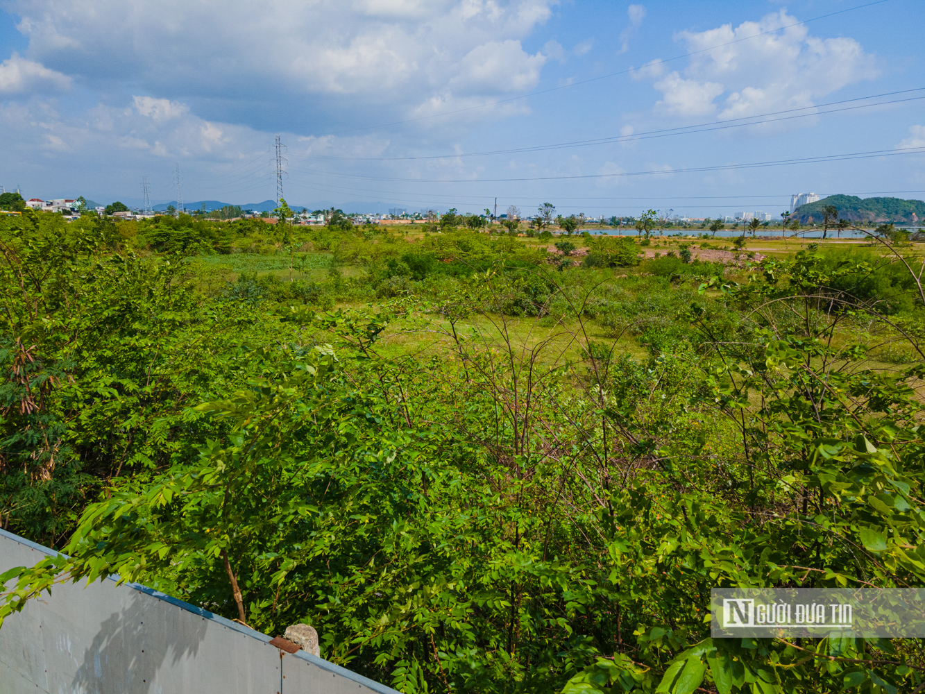 Cận cảnh khu đất lớn nhất còn lại ở Quy Nhơn quy hoạch khu đô thị 21.900 tỷ đồng- Ảnh 12. Cận cảnh khu đất lớn nhất còn lại ở Quy Nhơn quy hoạch khu đô thị 21.900 tỷ đồng- Ảnh 12.