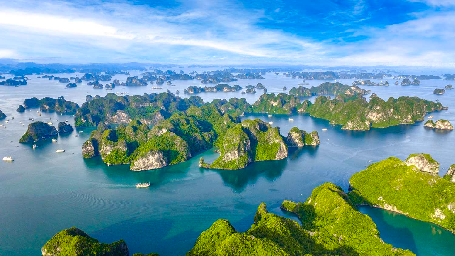 Cần có biện pháp bảo vệ thương hiệu "Hạ Long" - Ảnh 1.