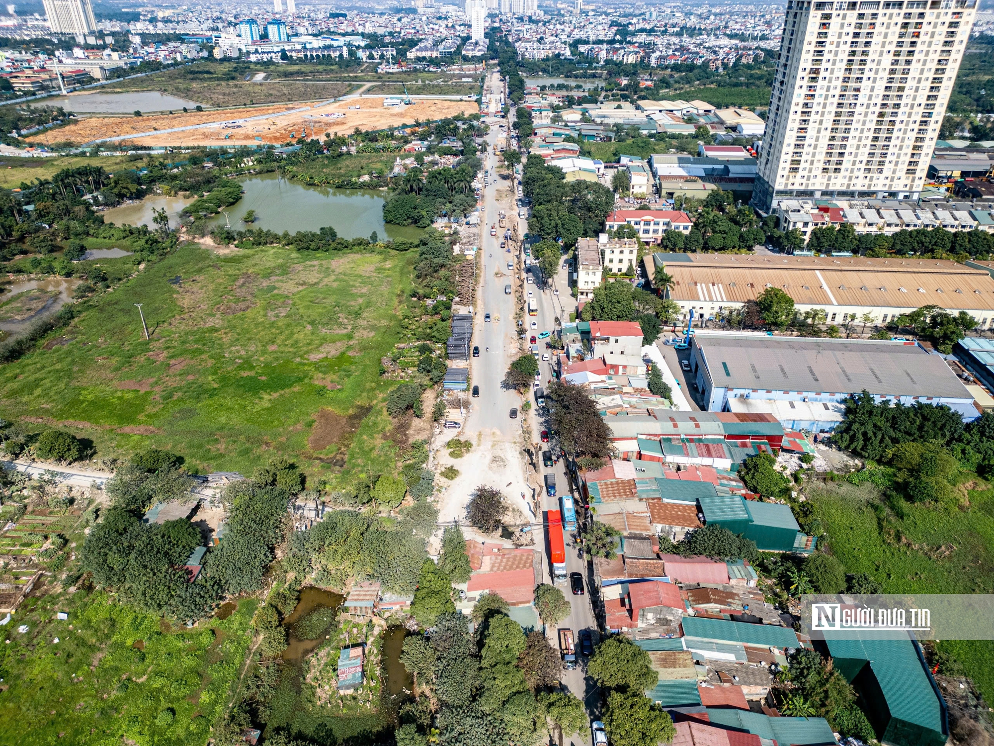 Hà Nội: Di dời, đốn hạ hàng chục cây xà cừ cổ thụ mở rộng đường hơn 3.000 tỷ đồng- Ảnh 1.