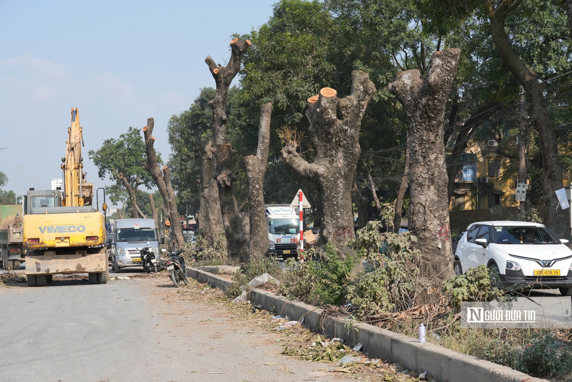 Hà Nội: Di dời, đốn hạ hàng chục cây xà cừ cổ thụ mở rộng đường hơn 3.000 tỷ đồng- Ảnh 9.