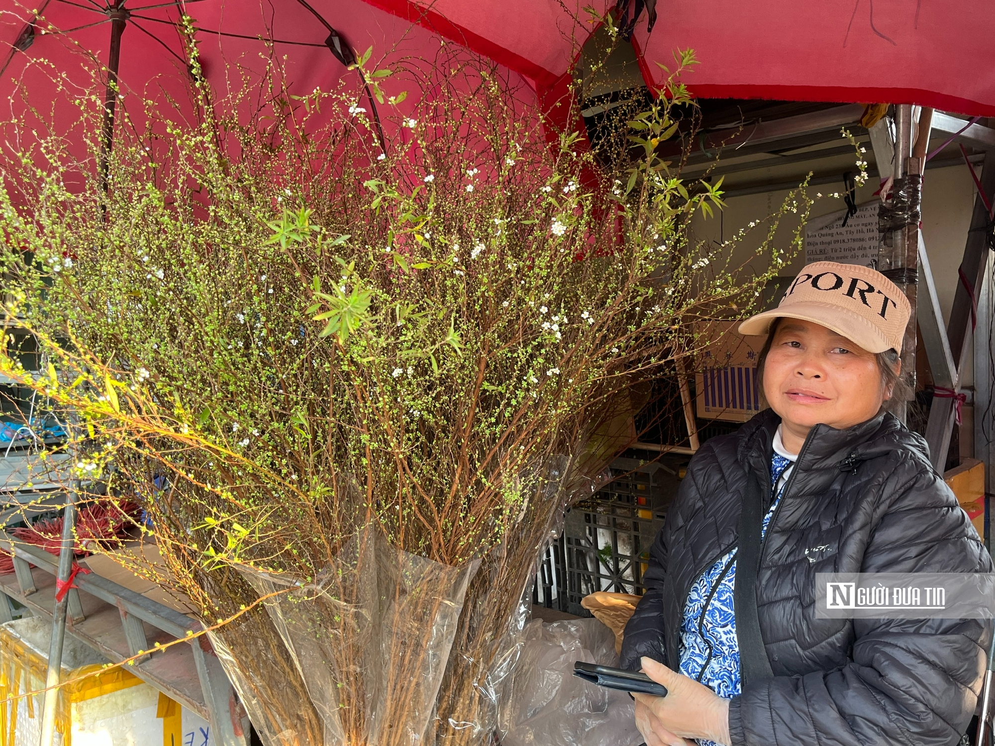H&agrave; Nội: Thị trường hoa Tết nhộn nhịp, nguồn cung dồi d&agrave;o- Ảnh 15.