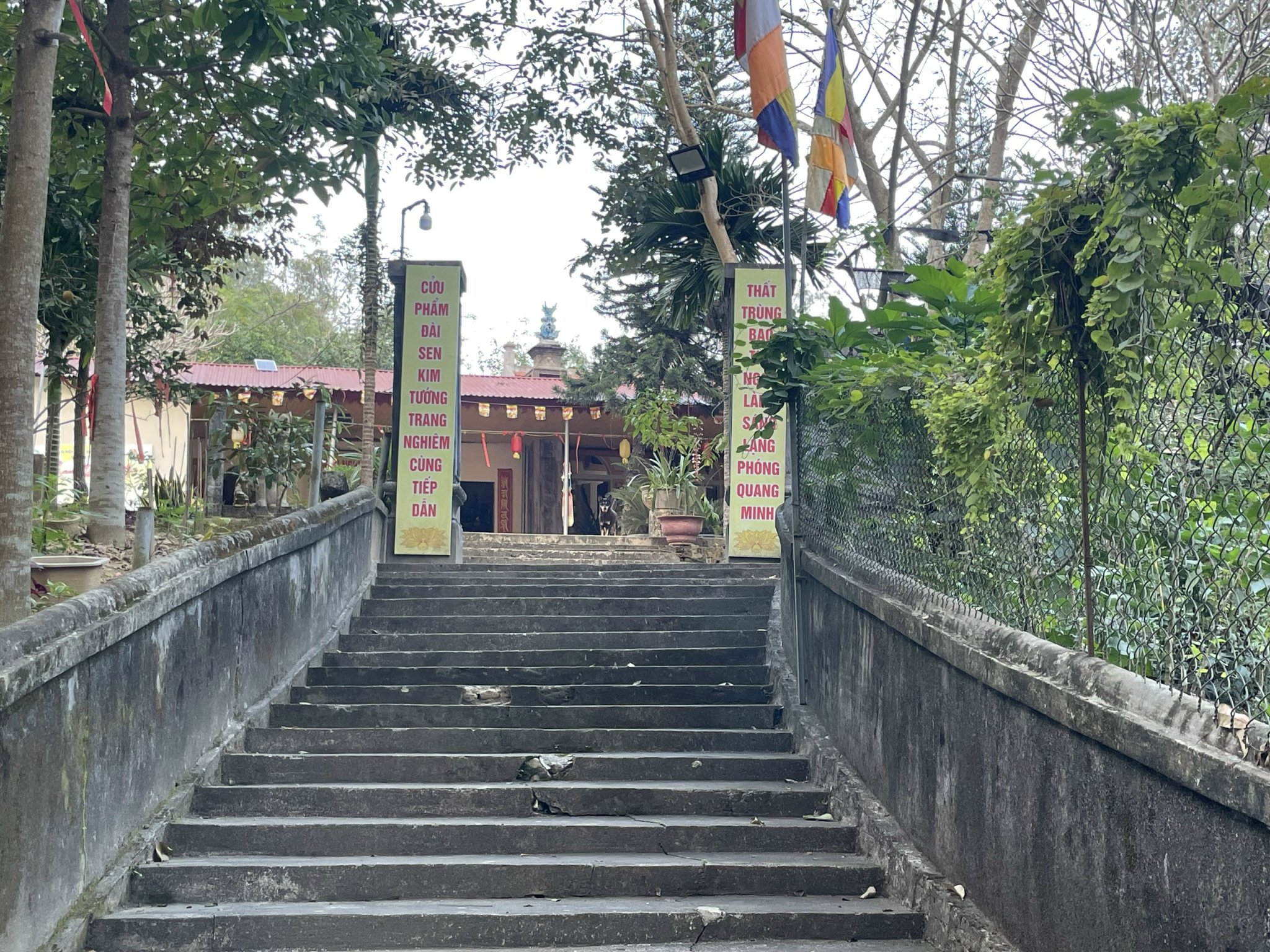 Núi Đọ – di chỉ người Việt cổ và bài toán bảo vệ di sản giữa đời sống đương đại- Ảnh 3.