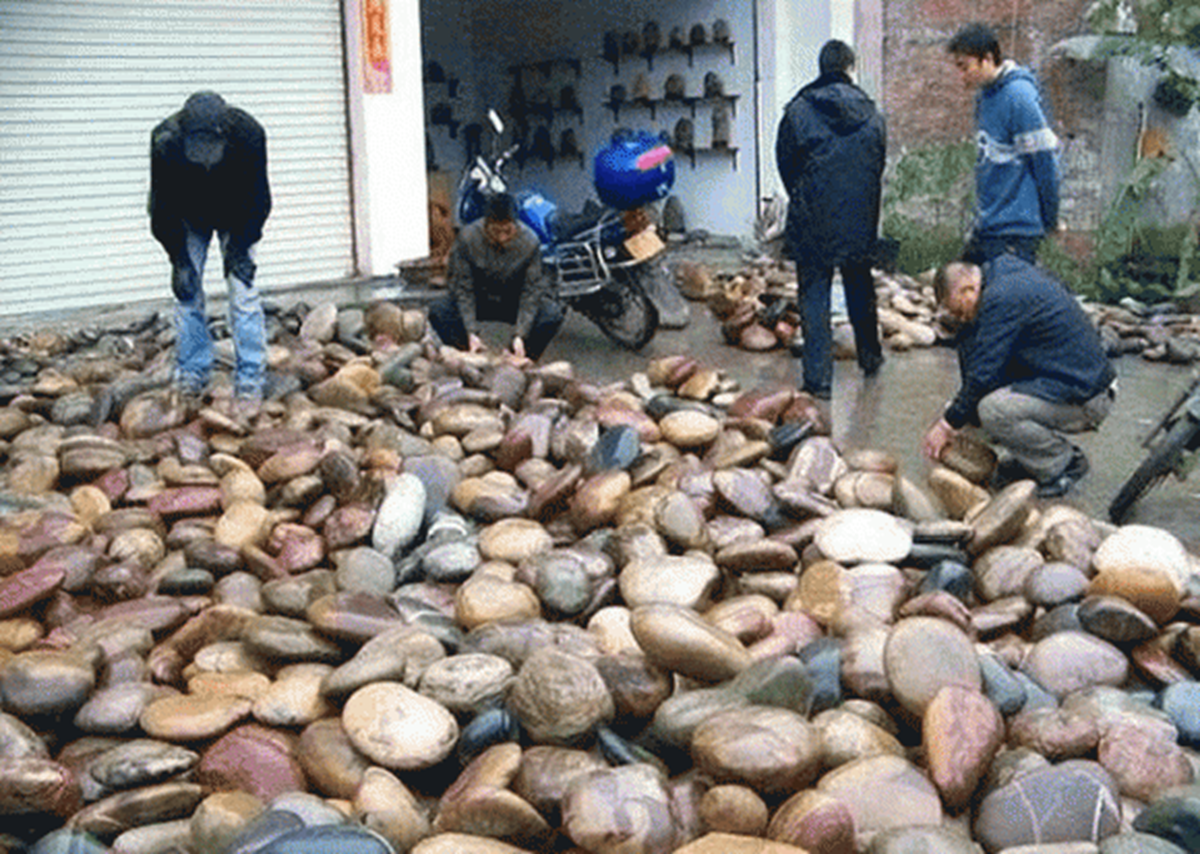 Lạ lùng ra suối nhặt thứ tưởng bỏ đi về bán, dân làng kiếm "chơi chơi" hơn 72 tỷ đồng/năm - Ảnh 5.