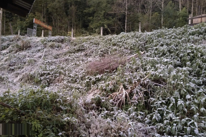 Miền Tây Nghệ An rét đậm cực mạnh, giảm sâu -5 độ C, xuất hiện băng giá - Ảnh 4.