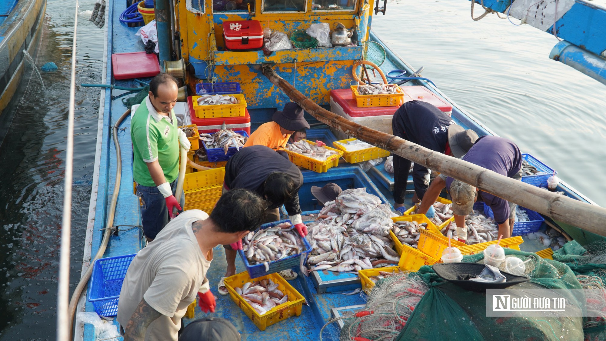 Truy xuất nguồn gốc thuỷ sản trên tàu cá, Lâm Đồng còn khoảng trống cần lấp đầy- Ảnh 4.