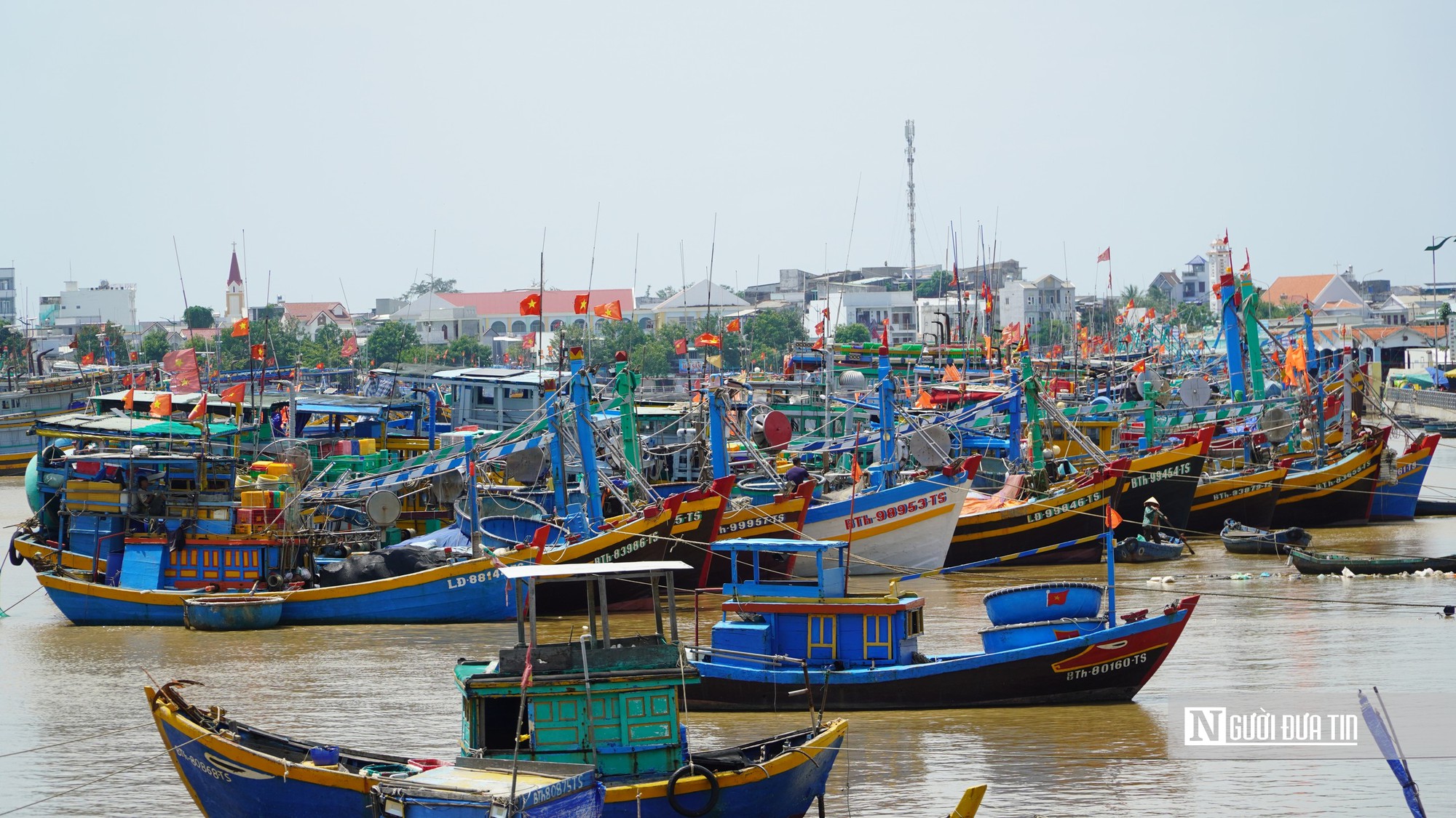 Truy xuất nguồn gốc thuỷ sản trên tàu cá, Lâm Đồng còn khoảng trống cần lấp đầy- Ảnh 5.