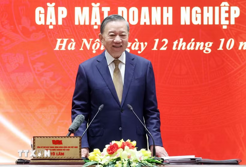 Tổng Bí thư, Chủ tịch nước Tô Lâm: Doanh nghiệp vững mạnh góp phần bồi đắp sức mạnh quốc gia - Ảnh 1.