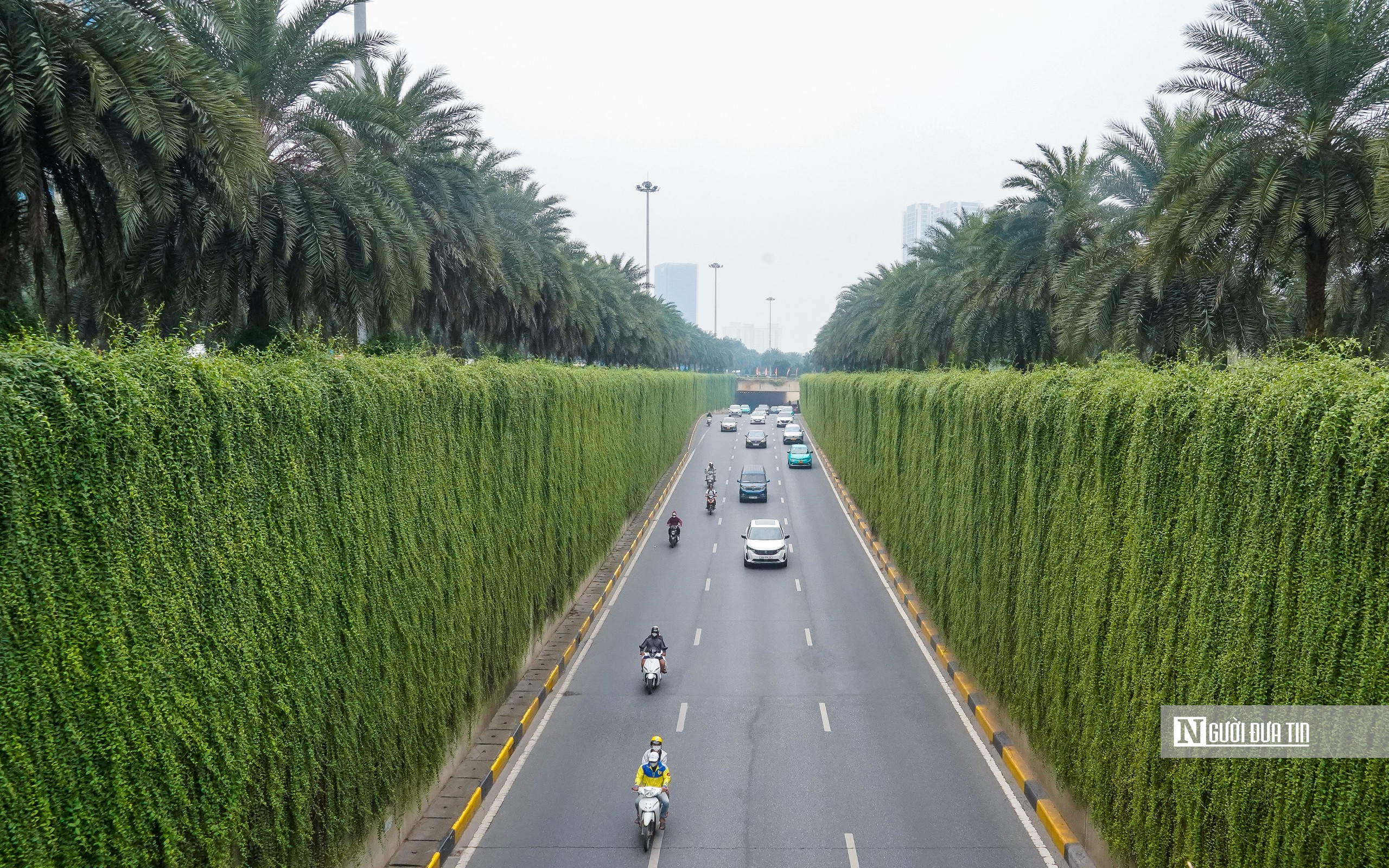 H&agrave; Nội bắt đầu phủ xanh trụ cầu, hầm chui, nh&agrave; chờ xe bu&yacute;t - Ảnh 11.