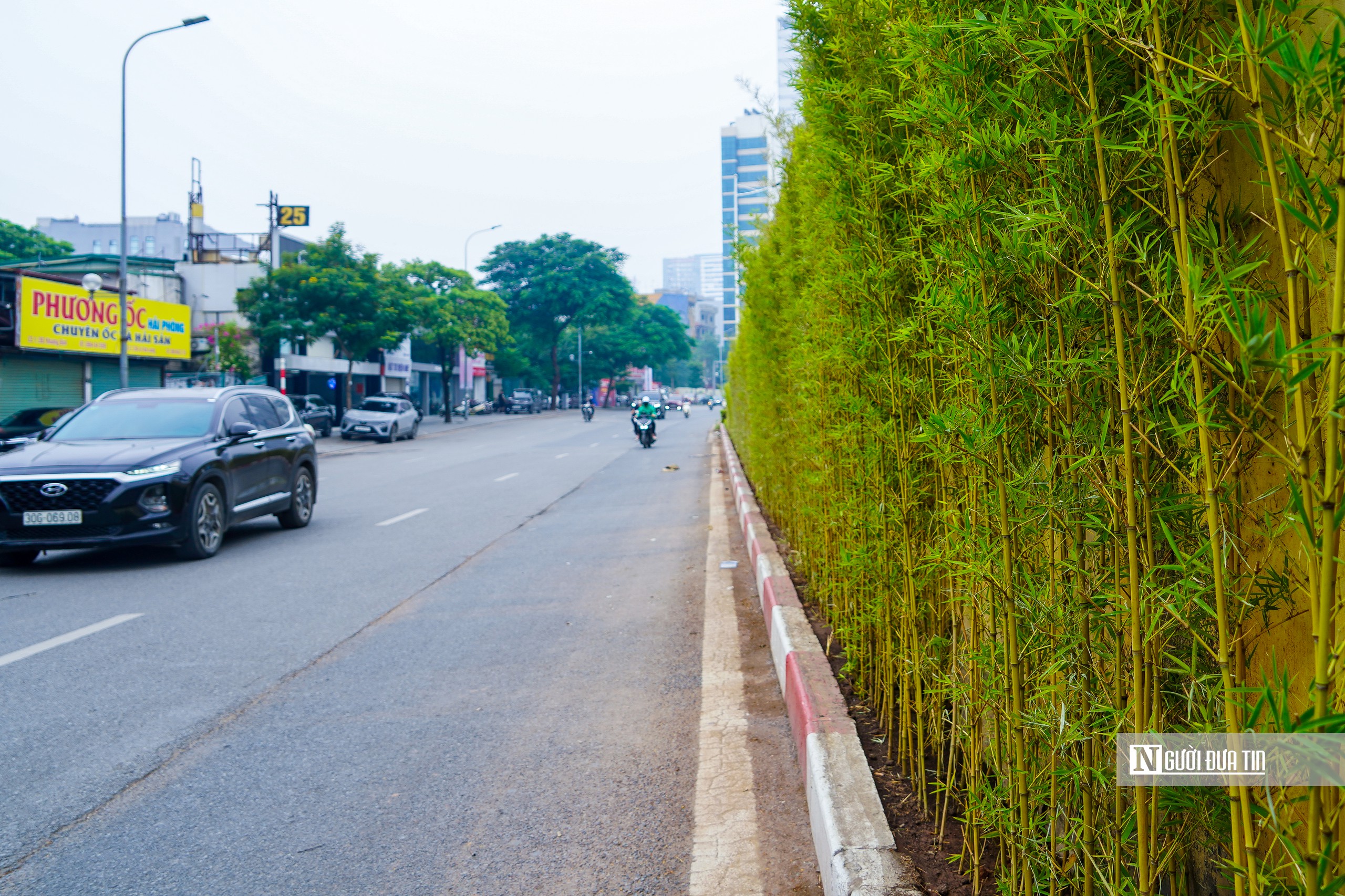 H&agrave; Nội bắt đầu phủ xanh trụ cầu, hầm chui, nh&agrave; chờ xe bu&yacute;t - Ảnh 9.