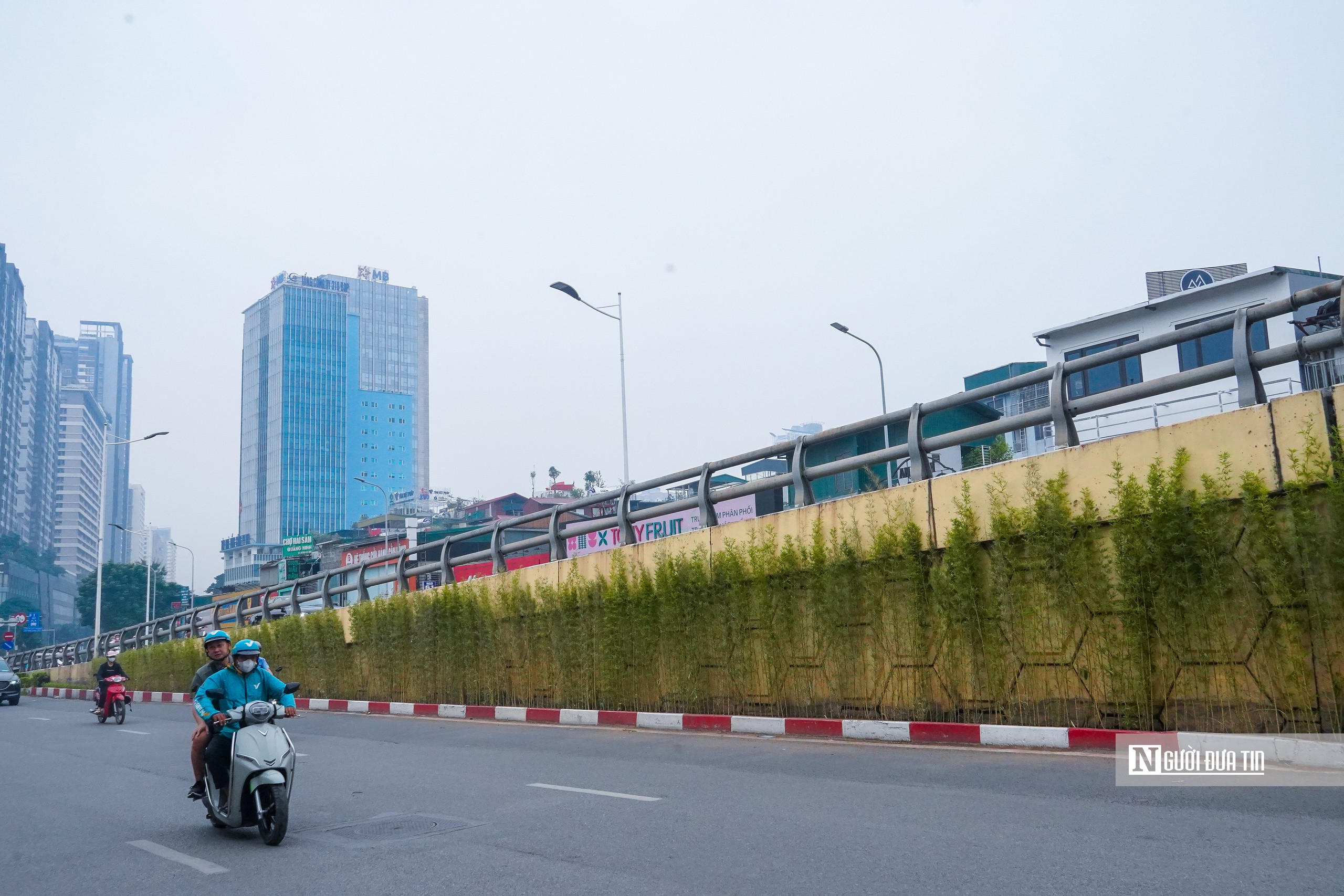H&agrave; Nội bắt đầu phủ xanh trụ cầu, hầm chui, nh&agrave; chờ xe bu&yacute;t - Ảnh 8.