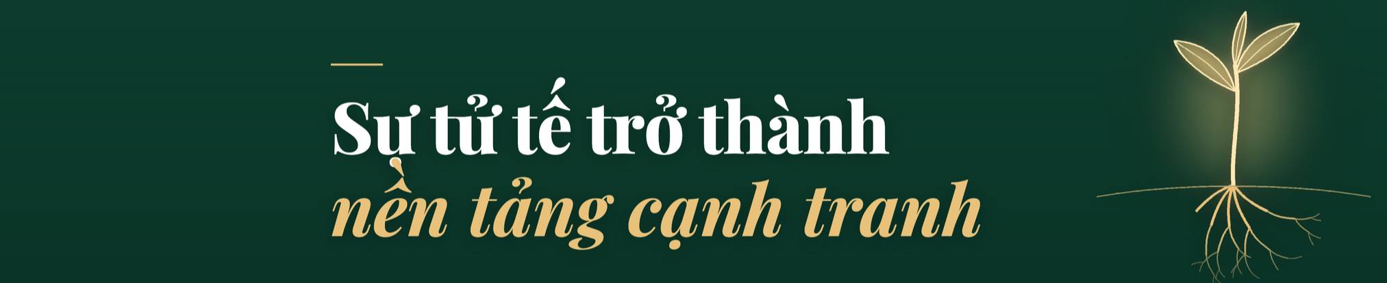 Khát vọng viễn chinh của Tập đoàn TH - Ảnh 9.