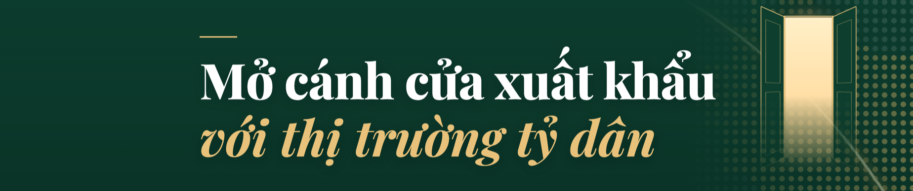 Khát vọng viễn chinh của Tập đoàn TH - Ảnh 6.