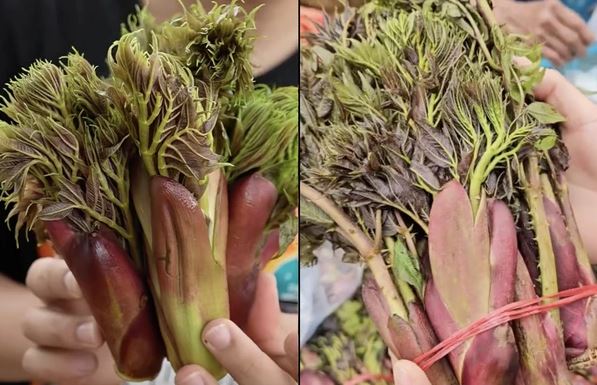 Loại rau dại mọc trên núi xưa không ai ngó, nay thành đặc sản dân phố 