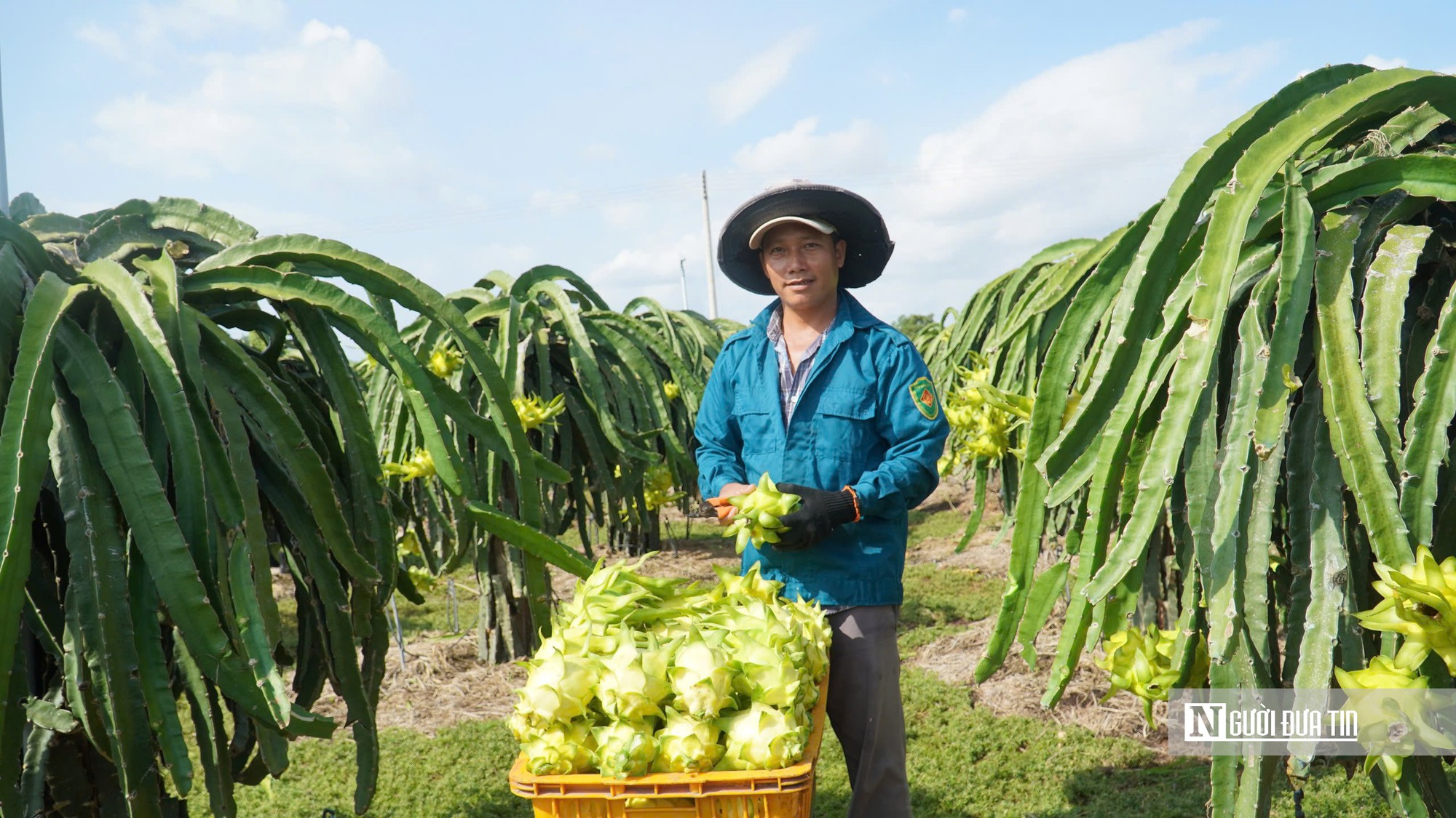 Muốn hàng hóa Đông Lâm Đồng vươn xa, phải nối chặt chuỗi giá trị - Ảnh 3.