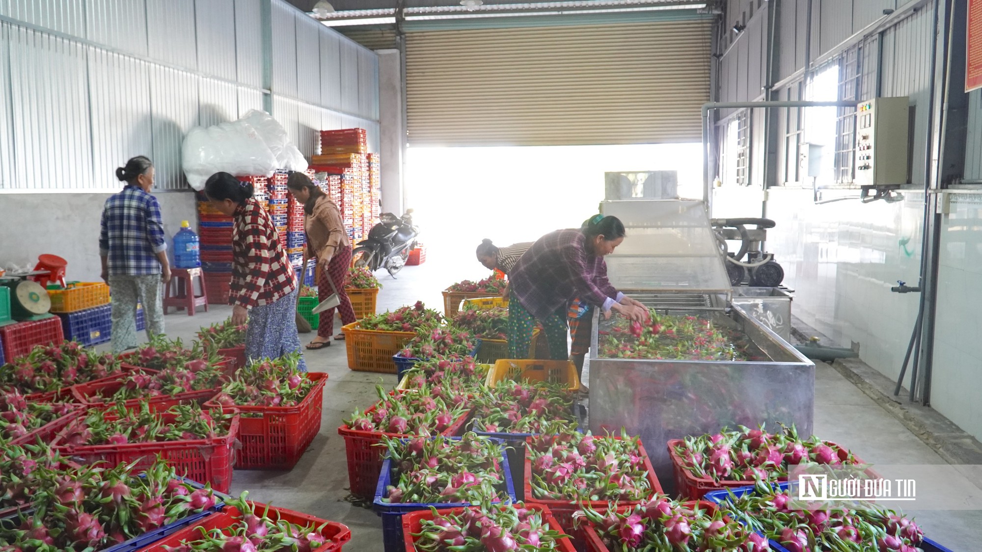 Muốn hàng hóa Đông Lâm Đồng vươn xa, phải nối chặt chuỗi giá trị - Ảnh 5.