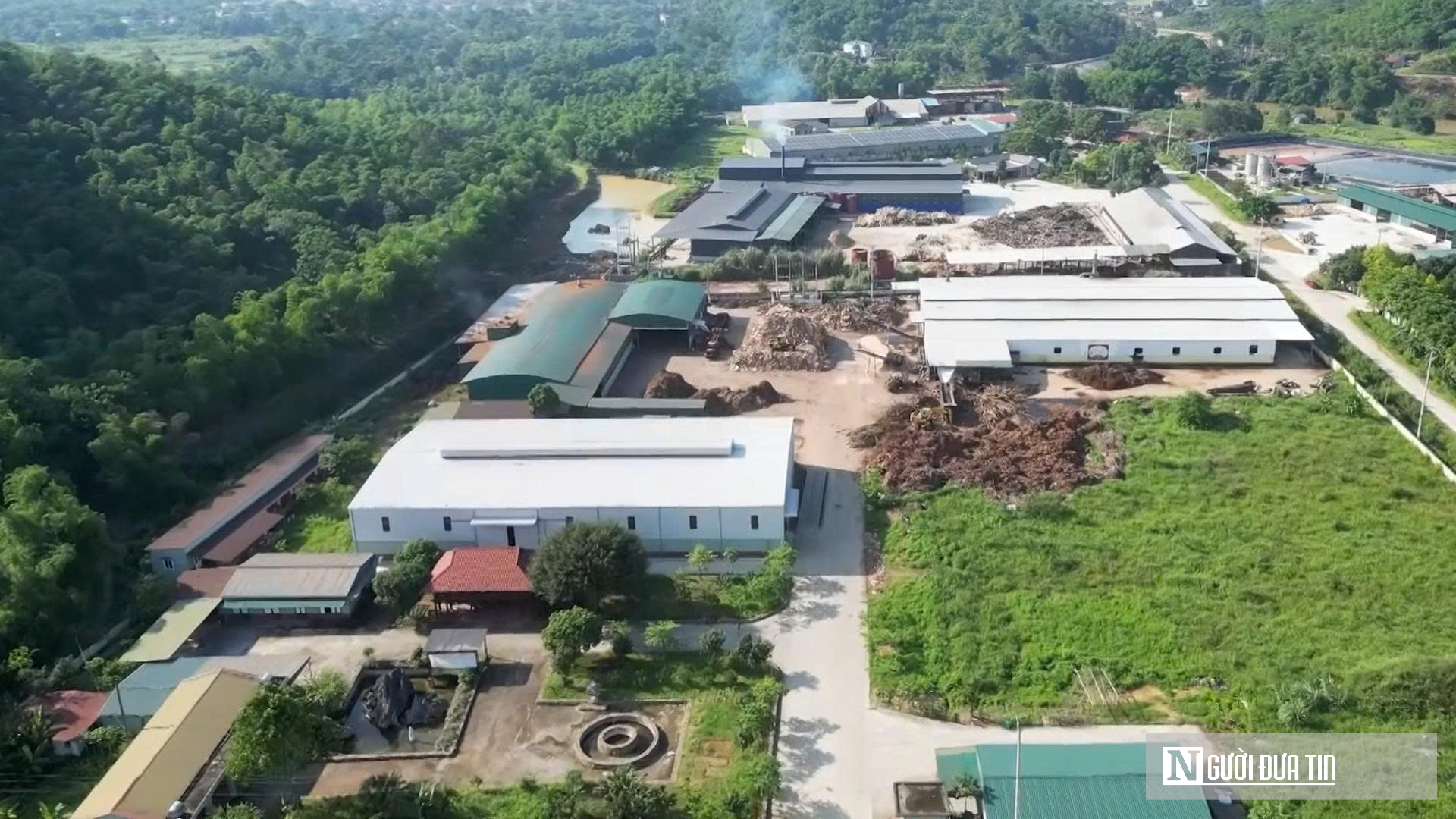 Thanh Hóa: Trồng rừng FSC mở đường đưa sản phẩm gỗ tiếp cận thị trường khó tính- Ảnh 1.