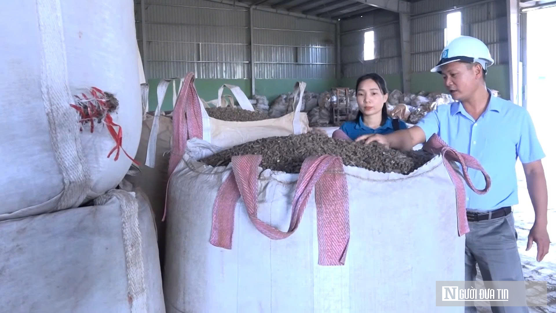 Thanh Hóa: Trồng rừng FSC mở đường đưa sản phẩm gỗ tiếp cận thị trường khó tính- Ảnh 2.
