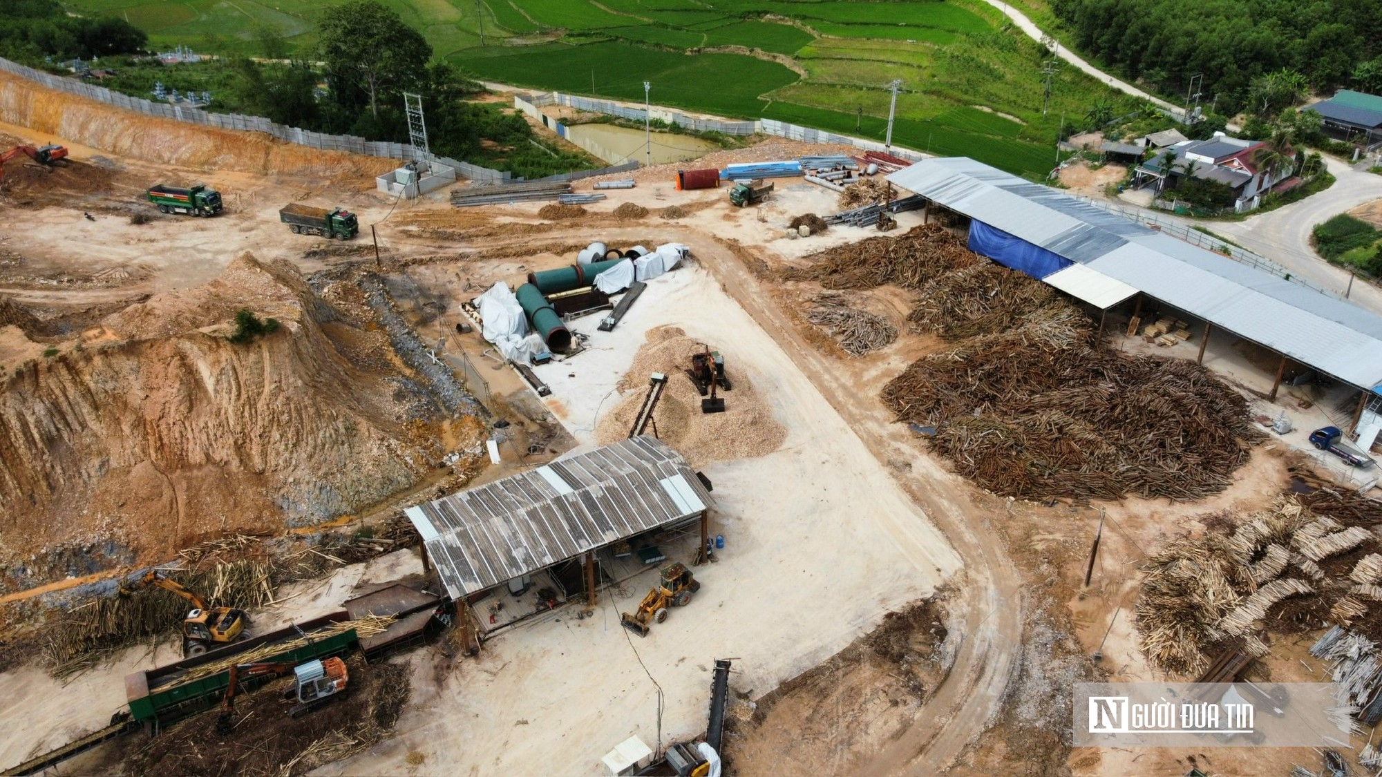 Thanh Hóa: Trồng rừng FSC mở đường đưa sản phẩm gỗ tiếp cận thị trường khó tính- Ảnh 5.