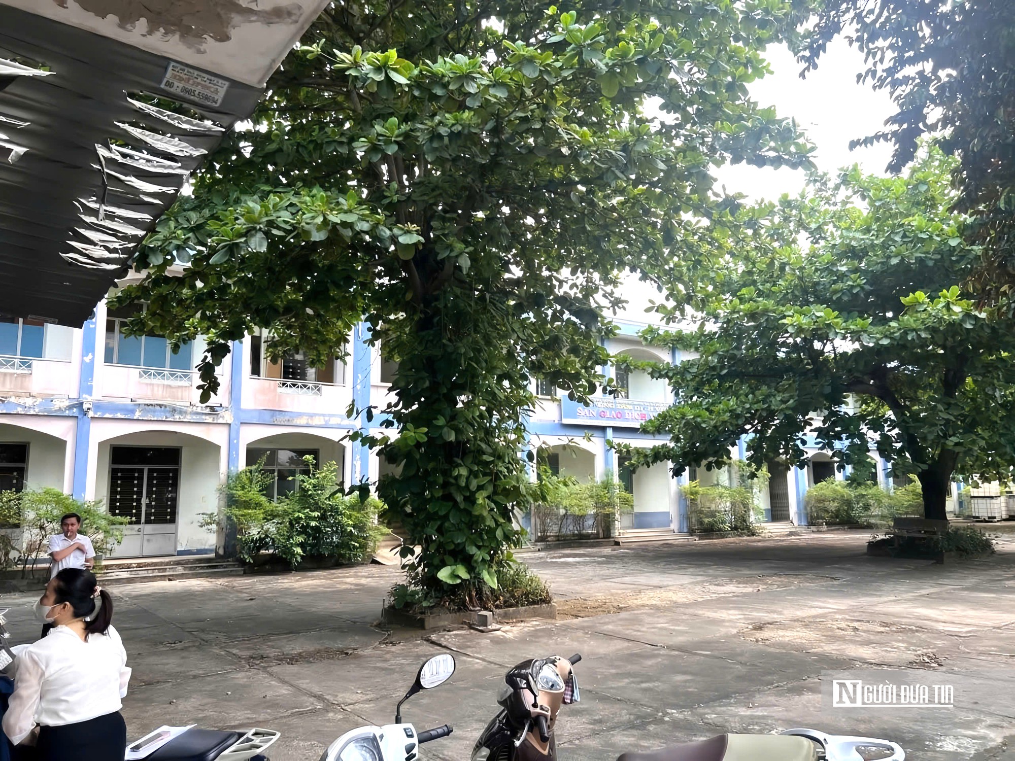 Đà Nẵng cho thuê hàng trăm tài sản công: Nhà nước tránh lãng phí, người dân thêm cơ hội kinh doanh- Ảnh 2.