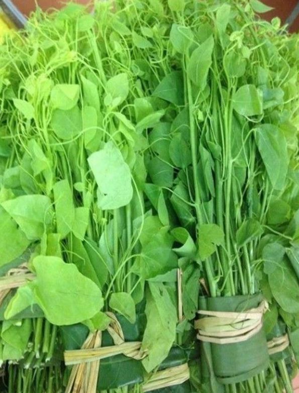 Loại rau dại c&oacute; t&ecirc;n "bốc m&ugrave;i" nhưng l&agrave; vị thuốc hỗ trợ ti&ecirc;u h&oacute;a v&agrave; giải độc - Ảnh 1.