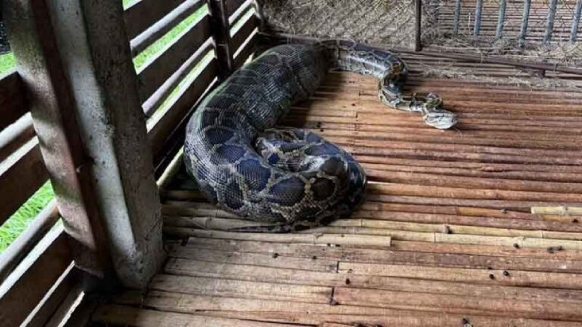 Người dân ghi lại cảnh tượng 