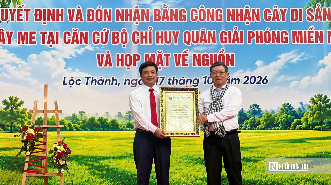 Hai c&acirc;y cổ thụ trăm tuổi giữa căn cứ c&aacute;ch mạng T&agrave; Thiết- Ảnh 3.