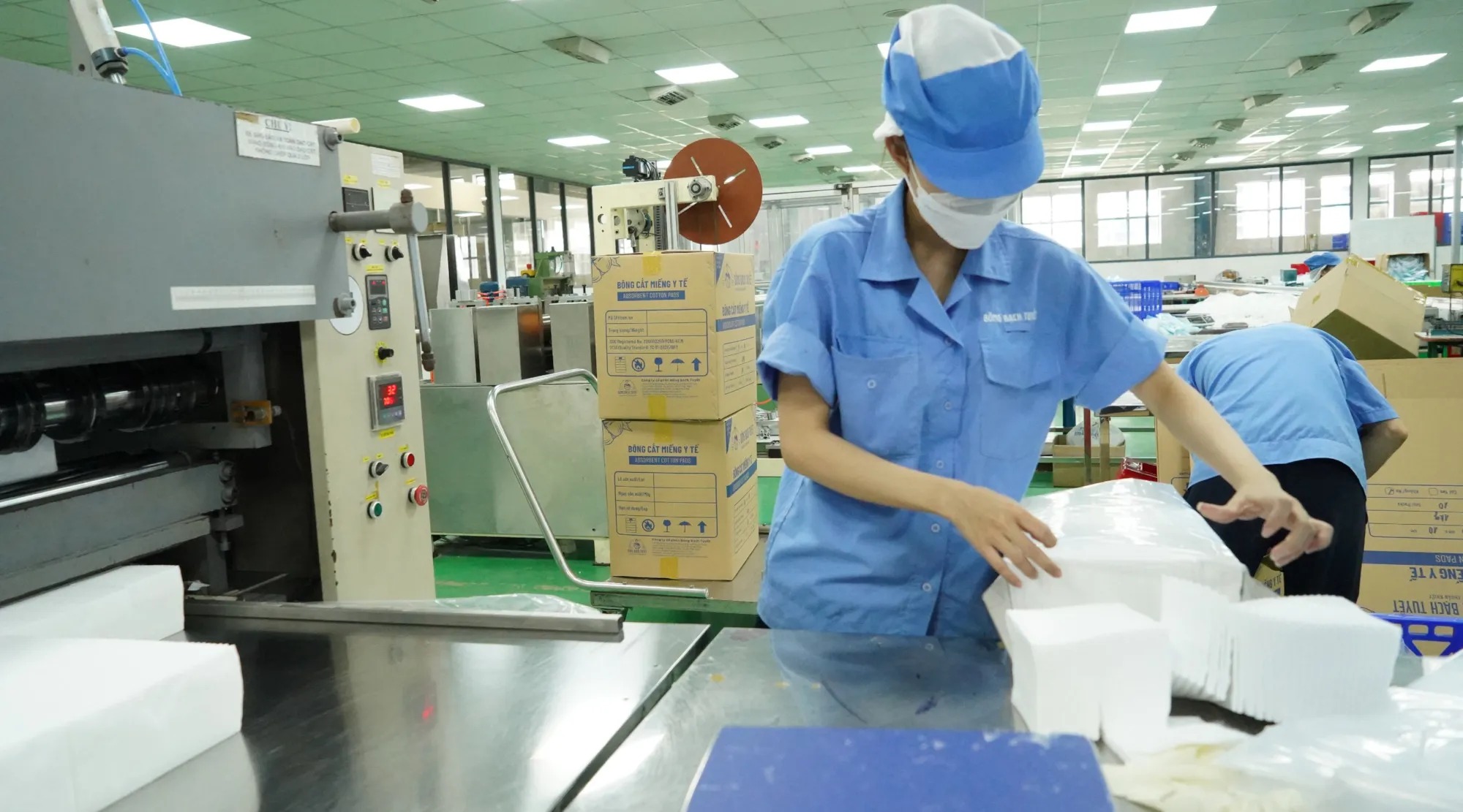 SGI Holdings thành công gom thêm hơn 1,2 triệu cổ phiếu Bông Bạch Tuyết- Ảnh 1.
