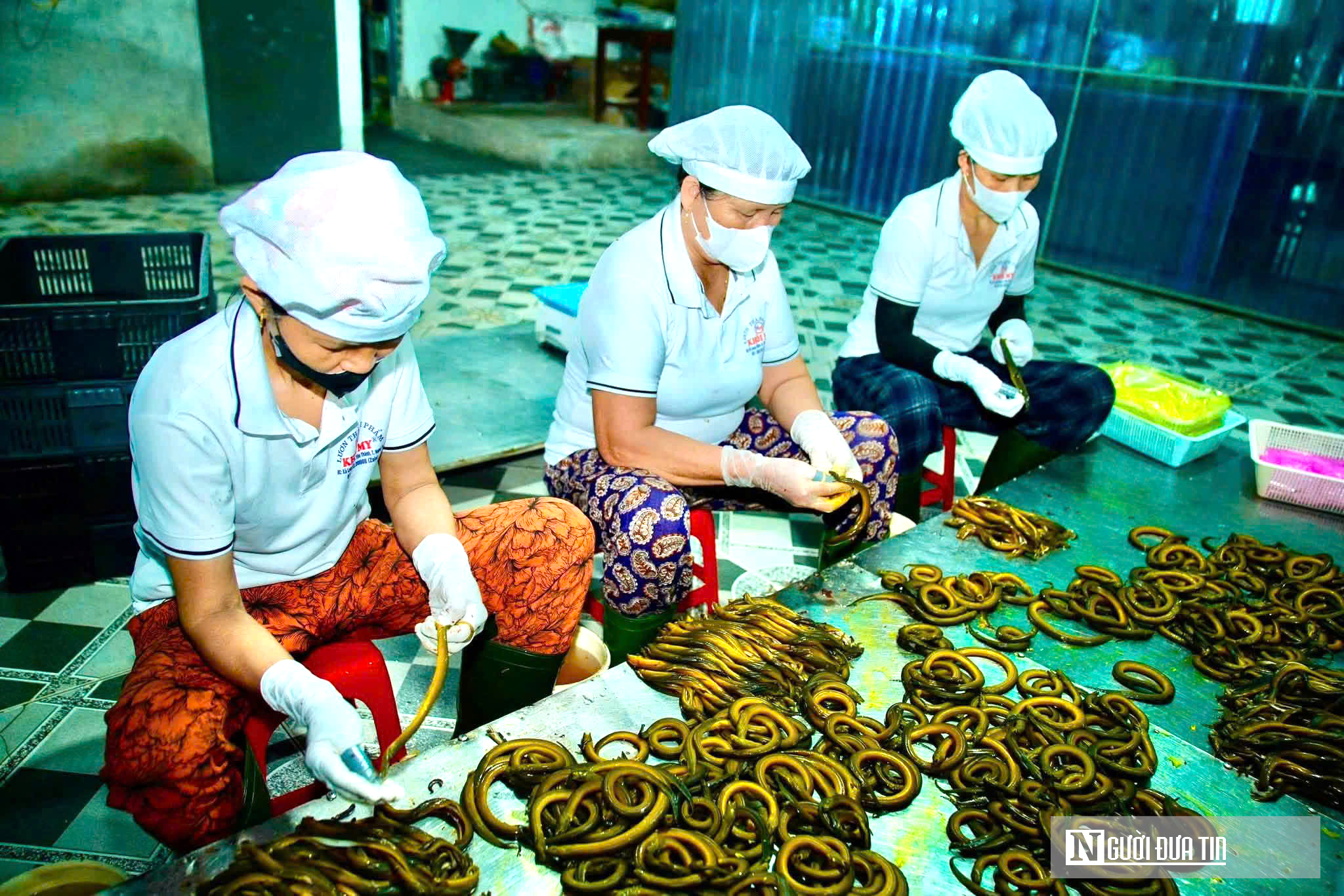 Bất ngờ về làng nghề chế biến con "đặc sản" thu về hàng trăm tỷ đồng mỗi năm- Ảnh 1.
