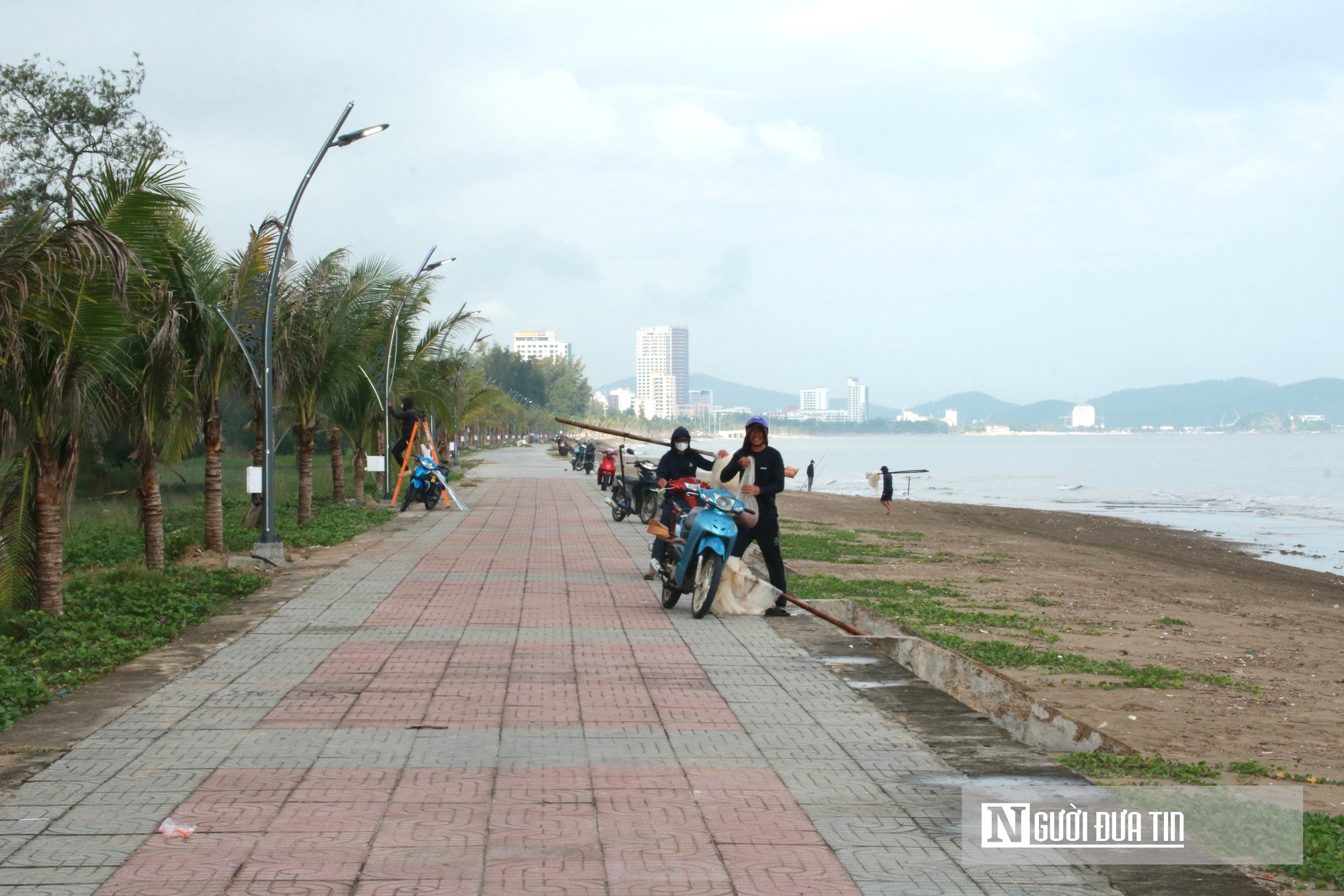 Theo chân ngư dân Cửa Lò ngâm mình vớt "lộc biển", kiếm tiền triệu mỗi sớm mai - Ảnh 14.
