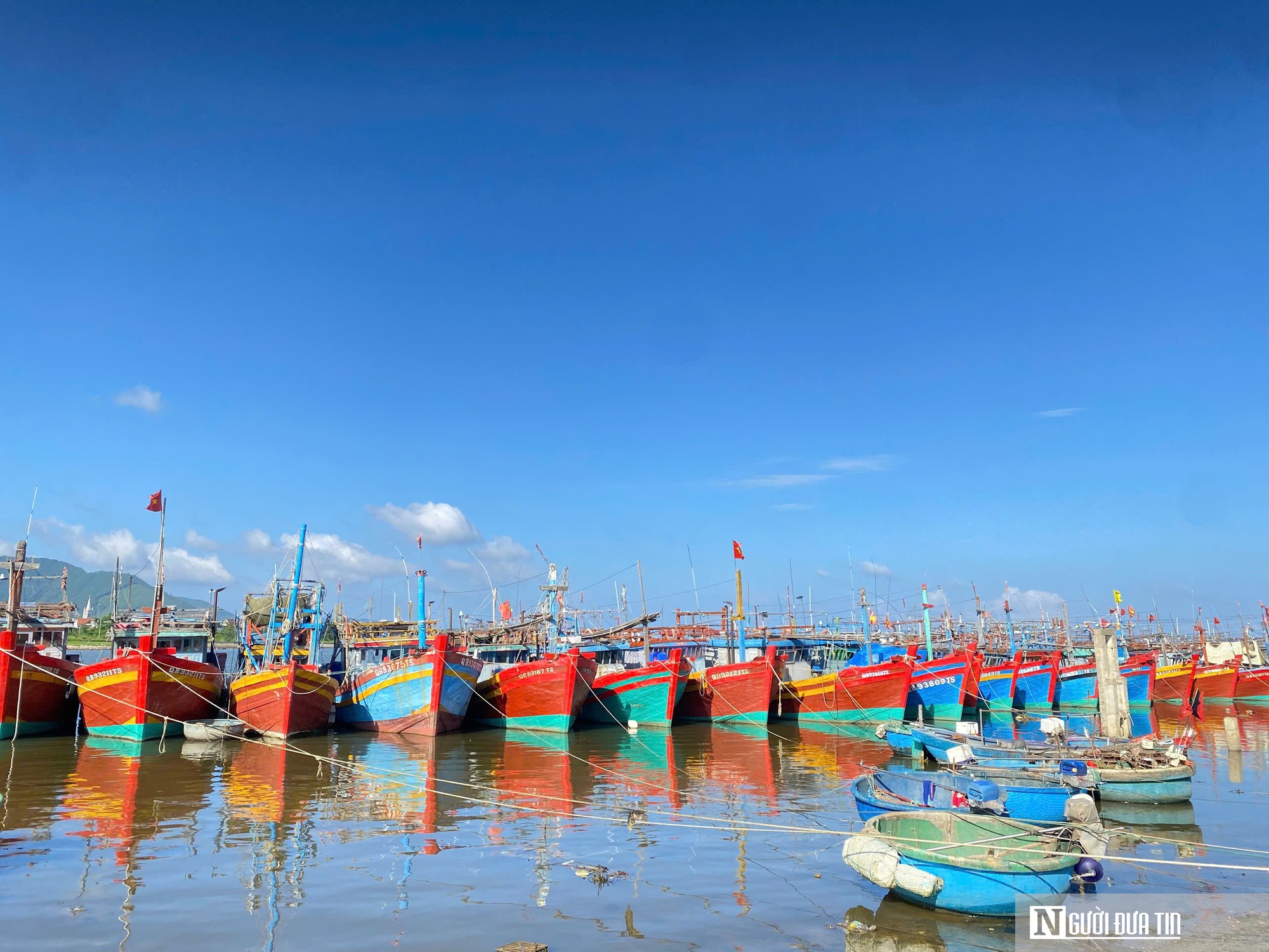 Quảng Trị: Siết chặt kỷ cương, quyết liệt xử lý nghiêm vi phạm IUU- Ảnh 5.