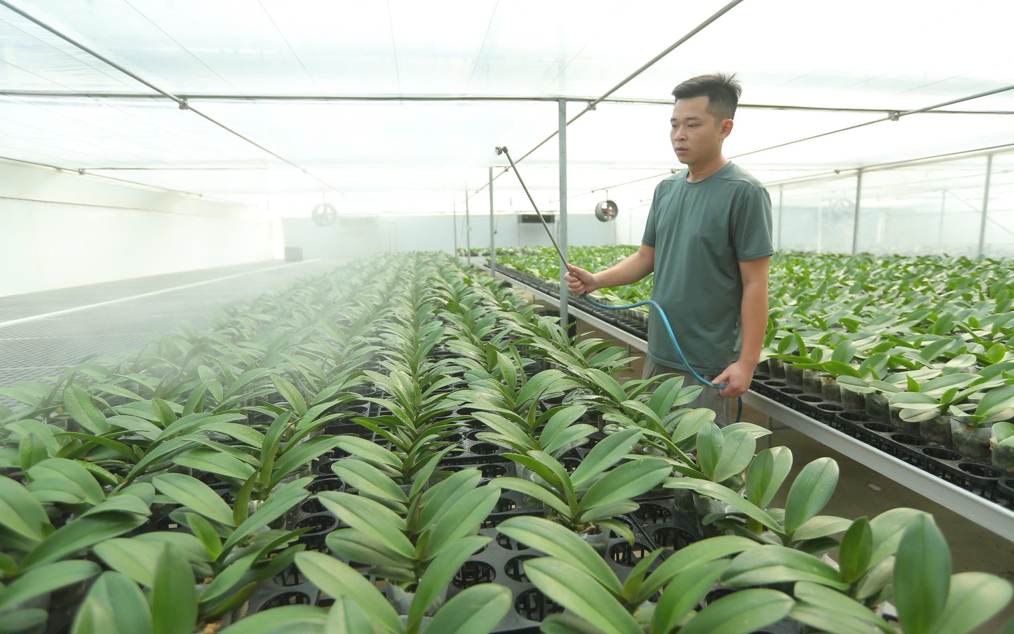 Thanh Hóa trước áp lực tăng trưởng 17% trong quý cuối năm- Ảnh 6.