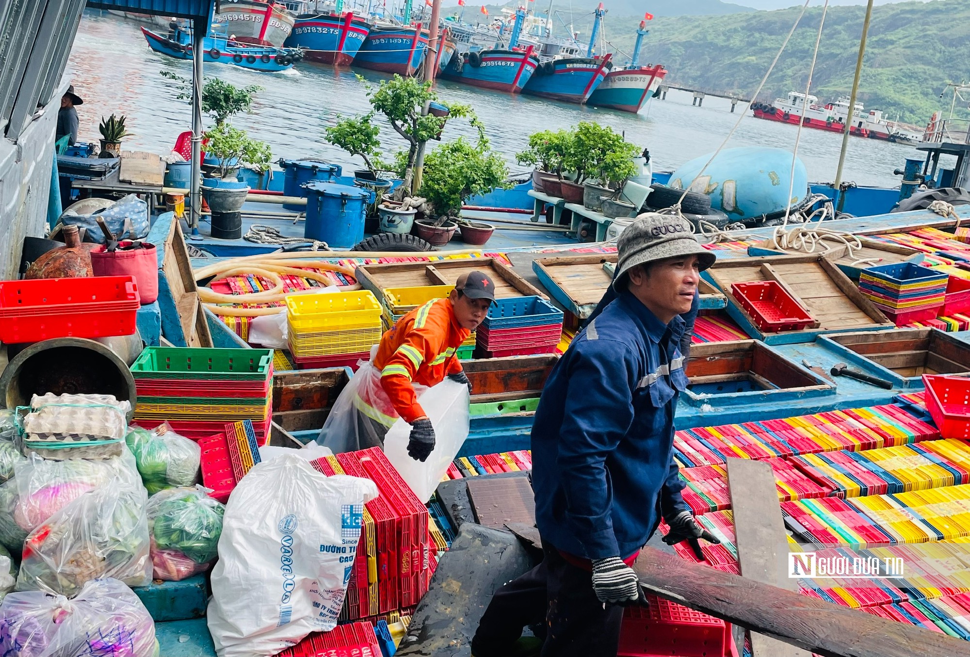 Quyết tâm gỡ thẻ vàng IUU, Gia Lai siết chặt giám sát tàu cá trên biển- Ảnh 1.