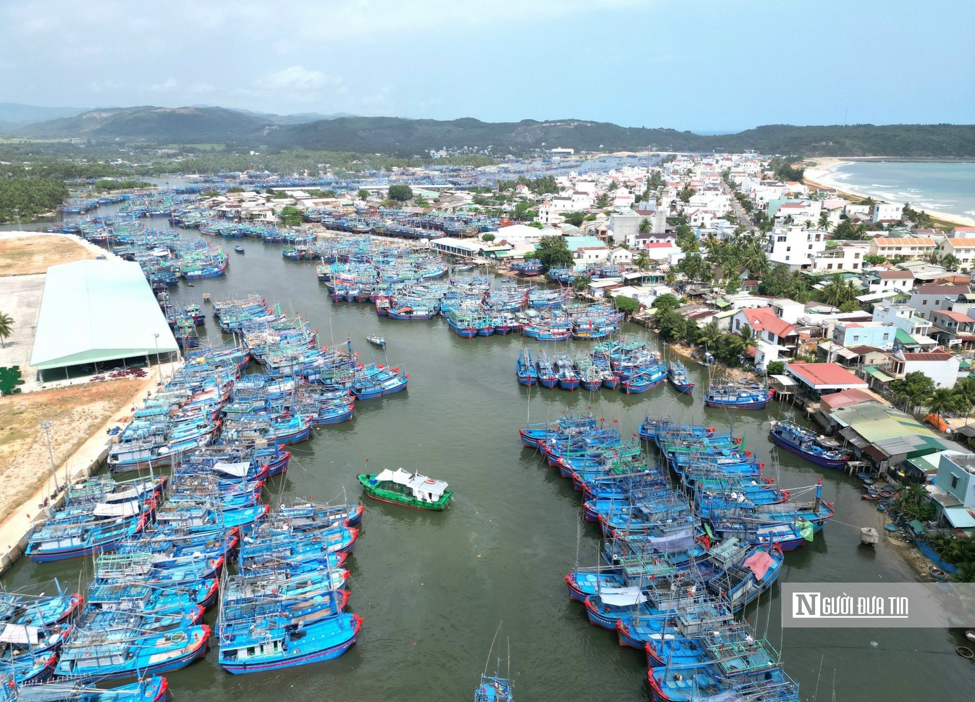 Quyết tâm gỡ thẻ vàng IUU, Gia Lai siết chặt giám sát tàu cá trên biển- Ảnh 3.