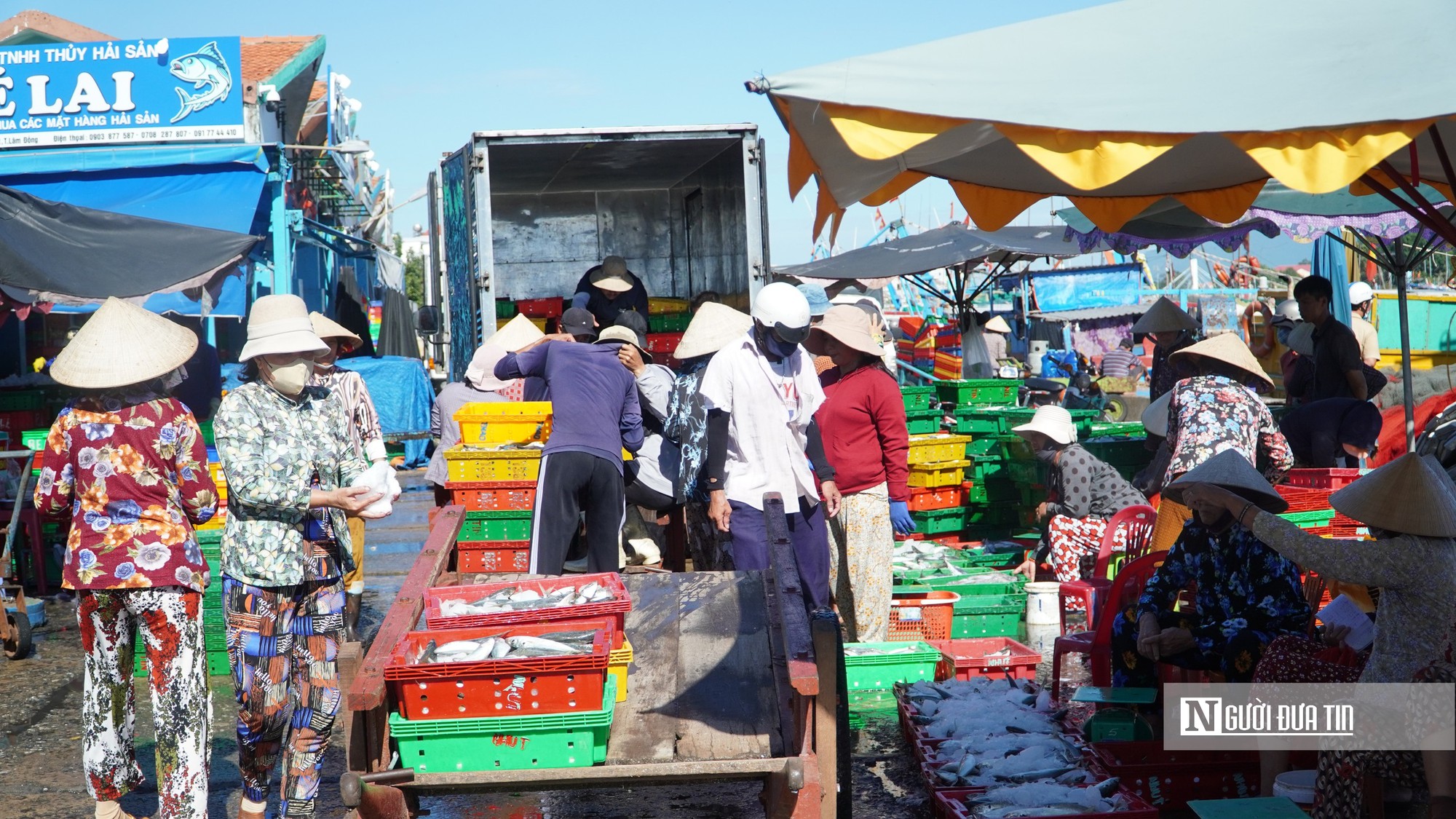 Nghề lưới vây rút chì ở Lâm Đồng: Trúng đàn cá, cả tàu cùng phấn khởi - Ảnh 1.