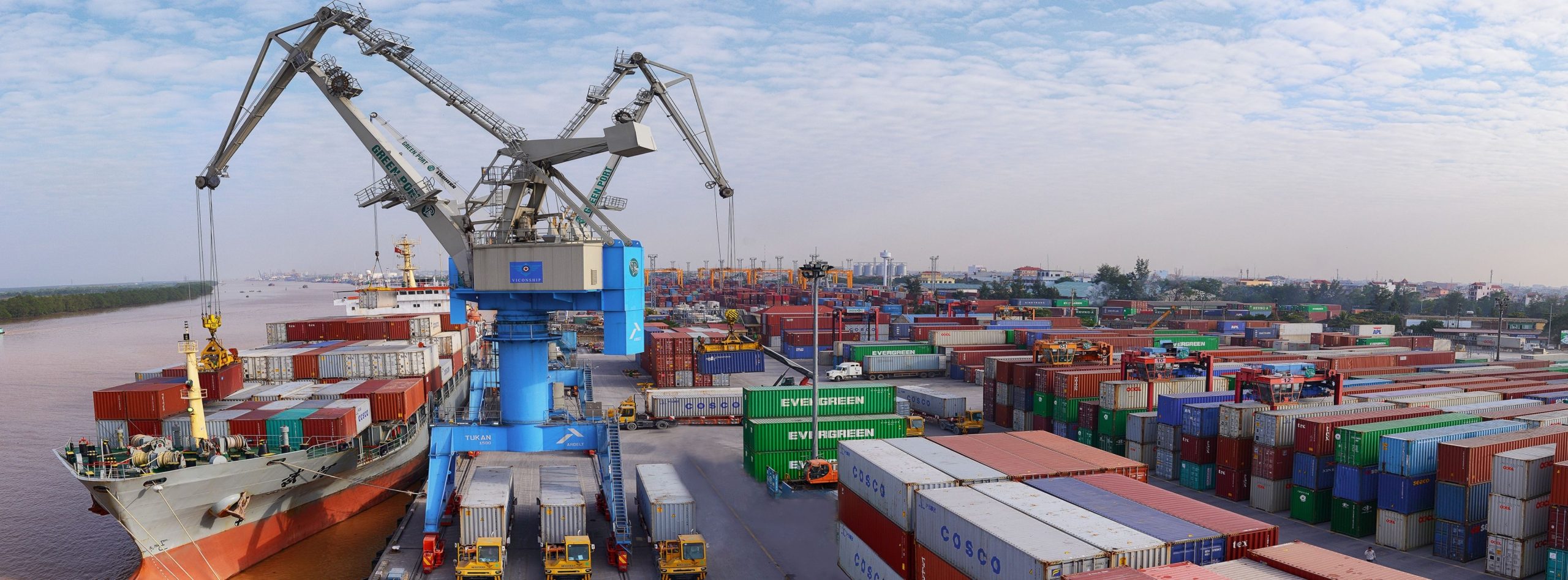 Viconship sắp phát hành gần 206 triệu cổ phiếu, đưa vốn điều lệ tăng gần gấp rưỡi- Ảnh 1.