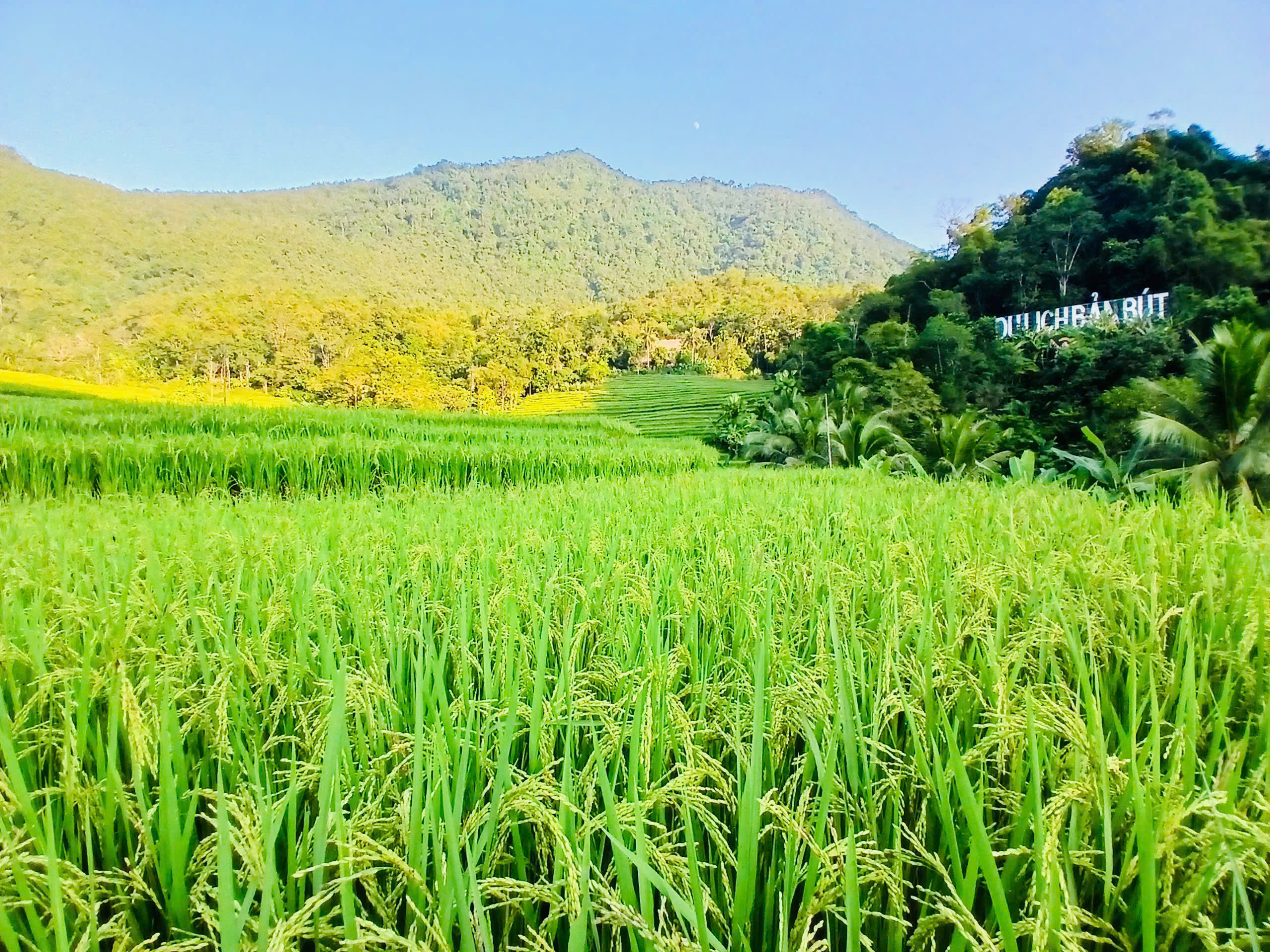 Đưa nghề dệt thổ cẩm vào du lịch, mở hướng thoát nghèo cho người vùng cao- Ảnh 2.