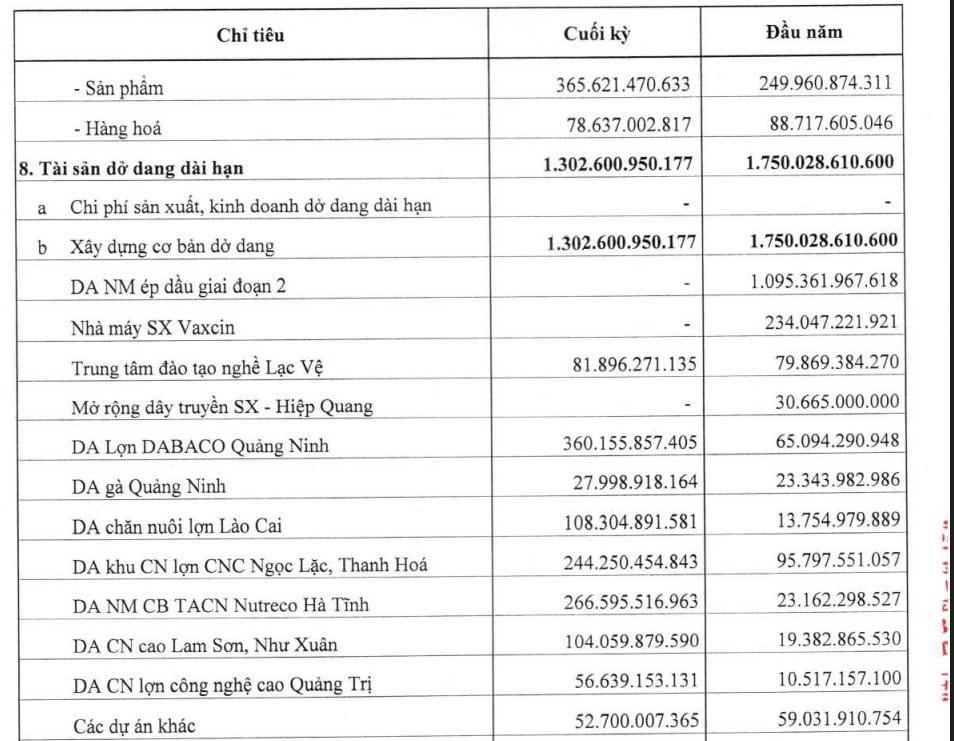 Dư nợ vay vượt 7.600 tỷ đồng, Dabaco vẫn rót thêm nghìn tỷ vào các dự án - Ảnh 2.