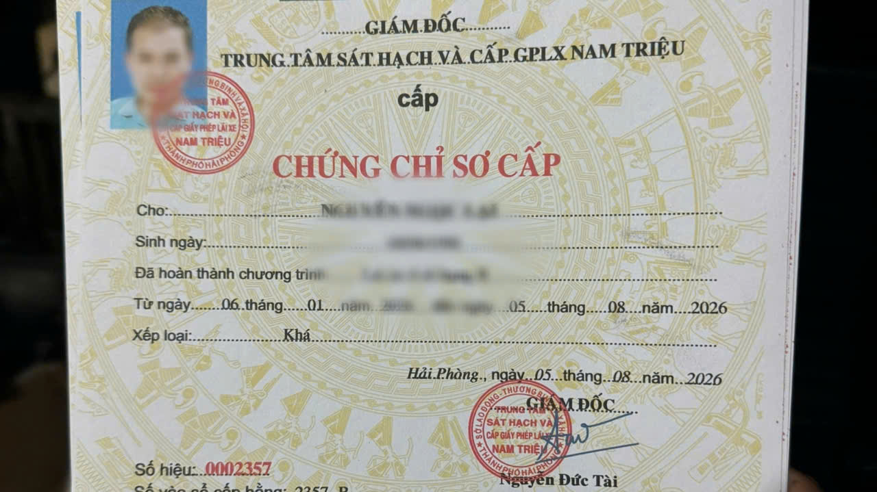 Triệt phá đường dây dựng 