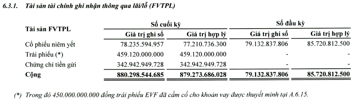 Tăng vốn nghìn tỷ, Haseco