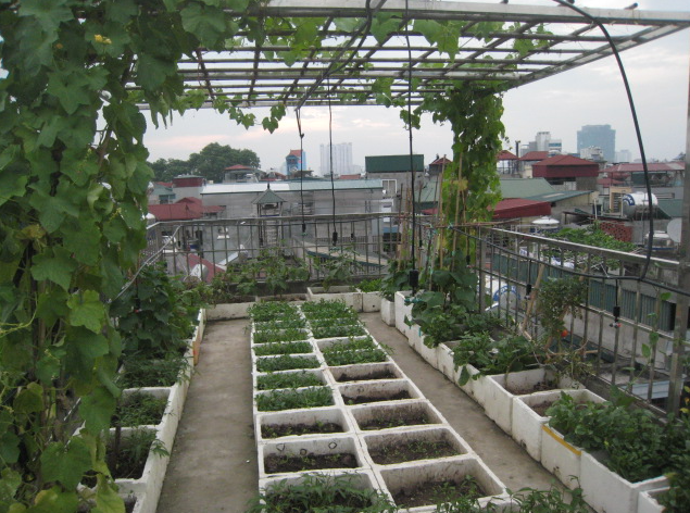 Những câu chuyện nhặt trên phố - Ảnh 1.