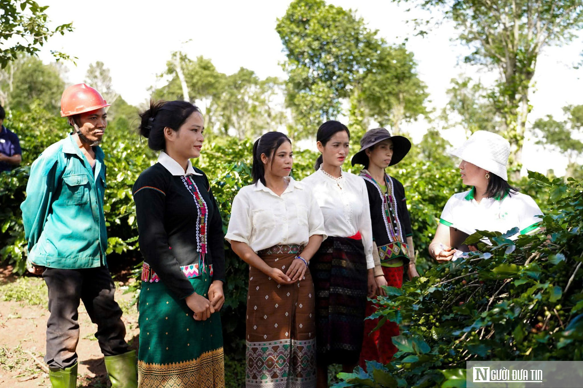 HTX n&ocirc;ng sản th&agrave;nh &lsquo;b&agrave; đỡ&rsquo; gi&uacute;p đồng b&agrave;o v&ugrave;ng cao Quảng Trị tho&aacute;t ngh&egrave;o- Ảnh 1.