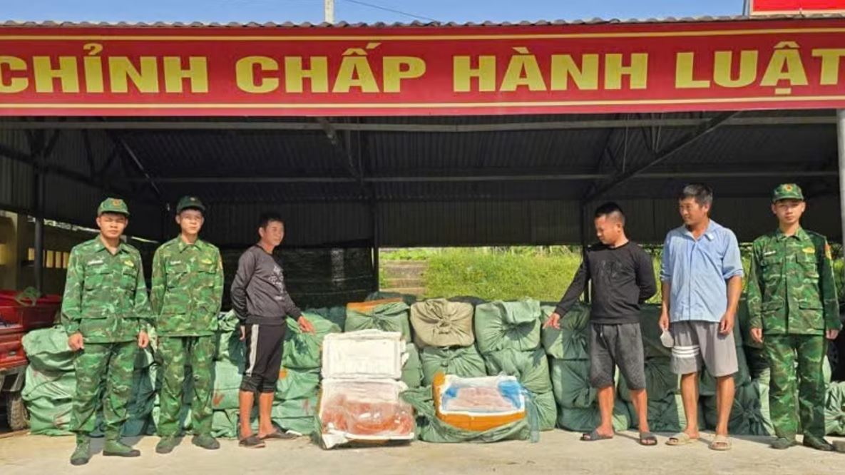 Bắt giữ vụ vận chuyển trái phép hơn 6 tấn nầm lợn, trứng gà non đông lạnh- Ảnh 1.