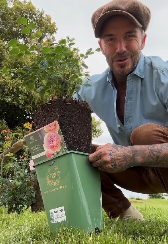 Cầu thủ David Beckham "bỏ phố về quê" trồng rau nuôi gà - Ảnh 5.