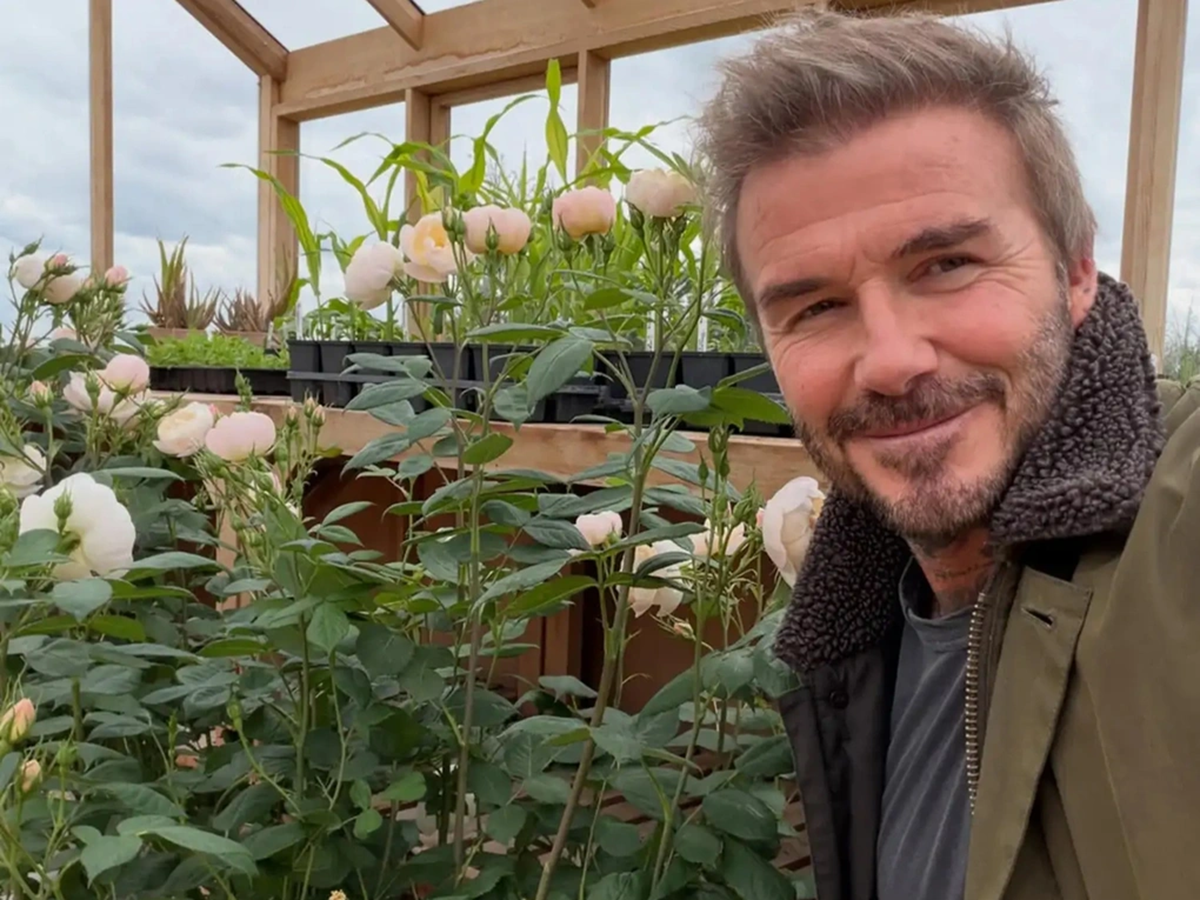 Cầu thủ David Beckham 