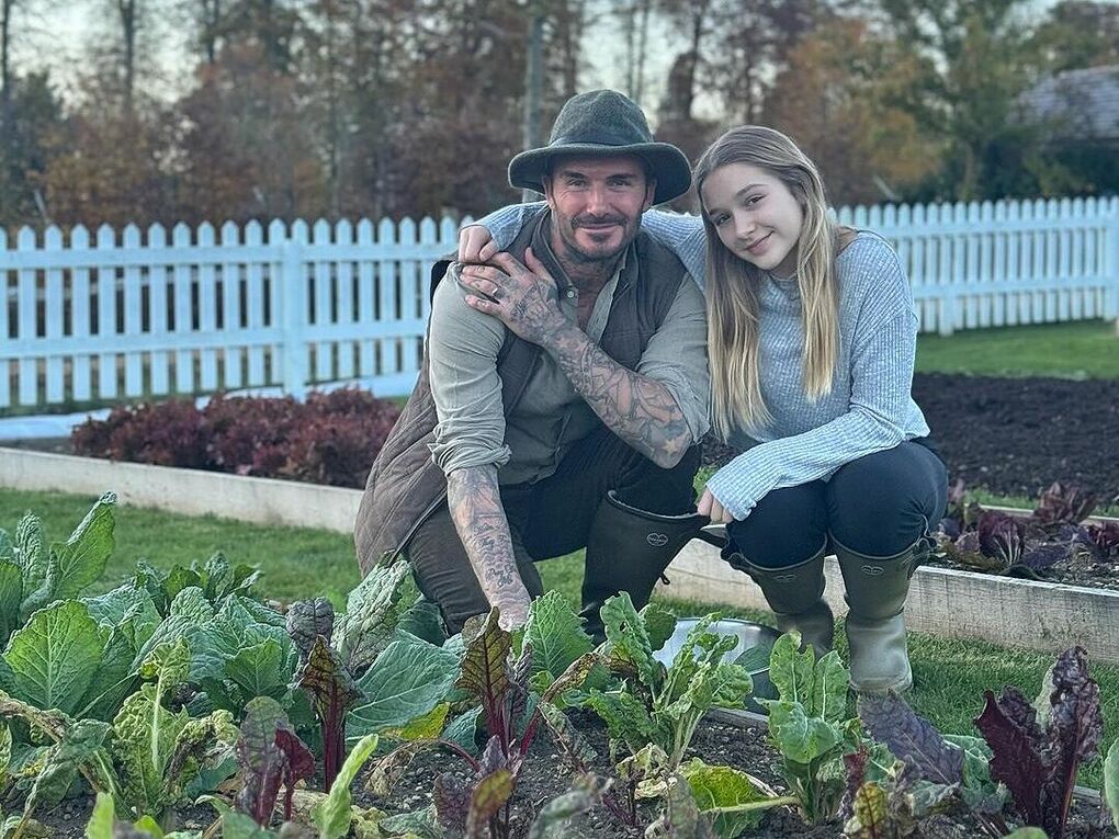 Cầu thủ David Beckham "bỏ phố về quê" trồng rau nuôi gà - Ảnh 2.