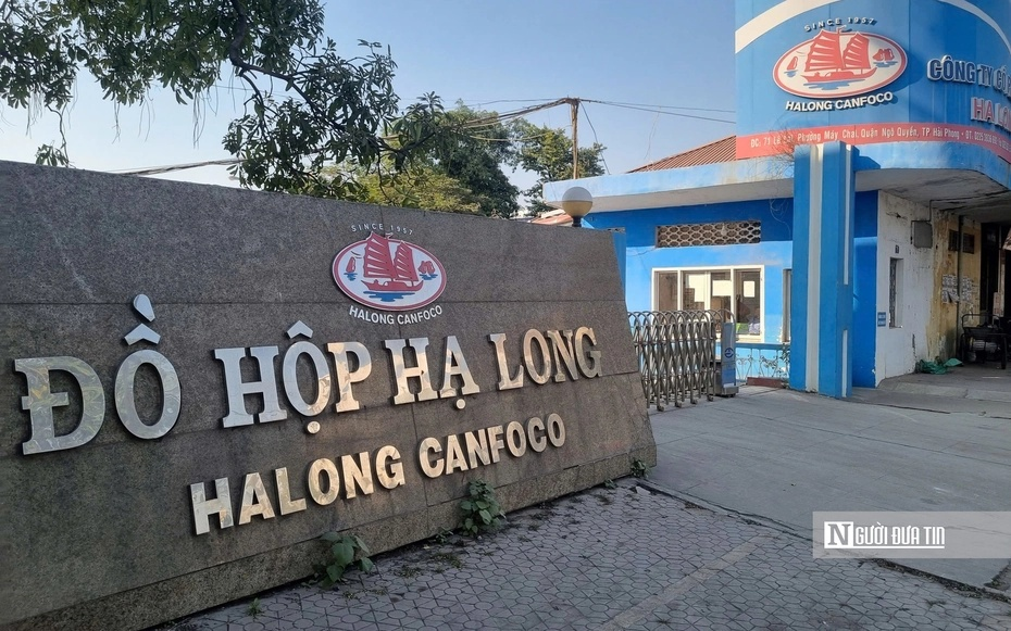 Sau vụ heo nhiễm dịch, Đồ hộp Hạ Long kinh doanh ra sao?- Ảnh 1.