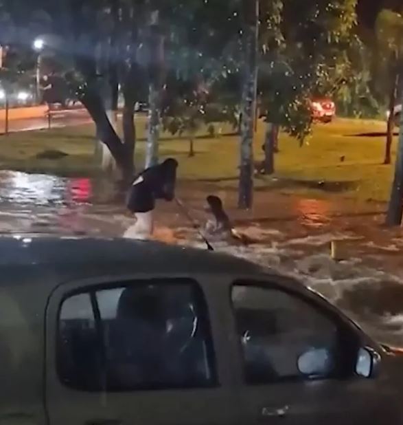 C&ocirc; g&aacute;i cứu bạn giữa d&ograve;ng lũ dữ, cả hai tử vong thương t&acirc;m - Ảnh 1.